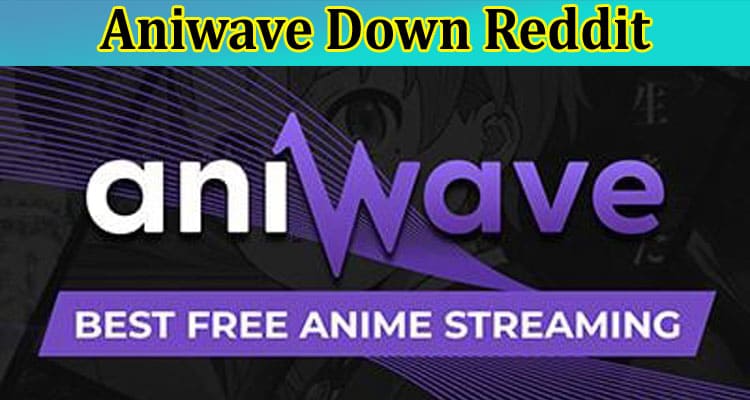 Aniwave Down Reddit – Find Solution Your Website Down More Than 24 Hours